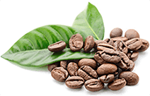 Cofeina